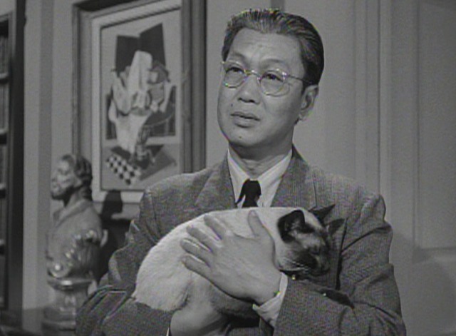 Perry Mason - The Case of the Caretaker's Cat - Siamese cat with Hing