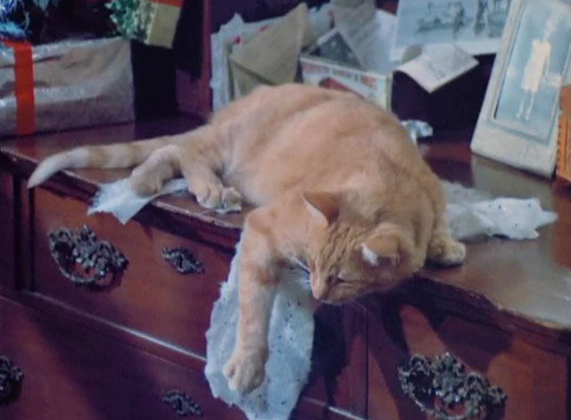 Police Woman - Merry Christmas Waldo - ginger tabby cat Harry lying on dresser