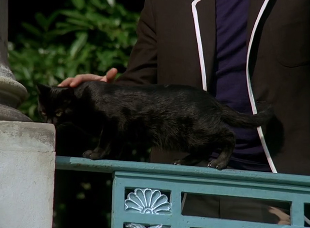 The Prisoner - Dance of the Dead black cat on balcony