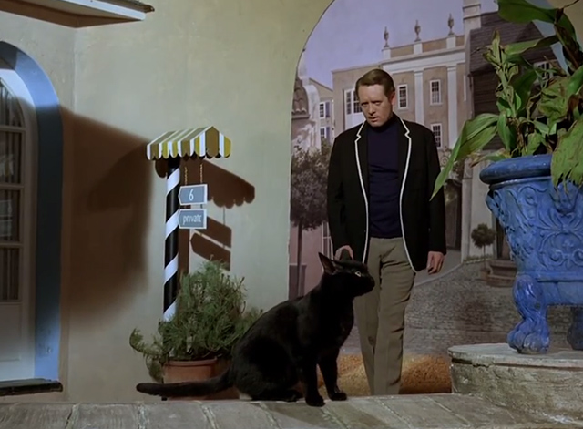 The Prisoner - Dance of the Dead black cat waiting for Number 6 Patrick McGoohan