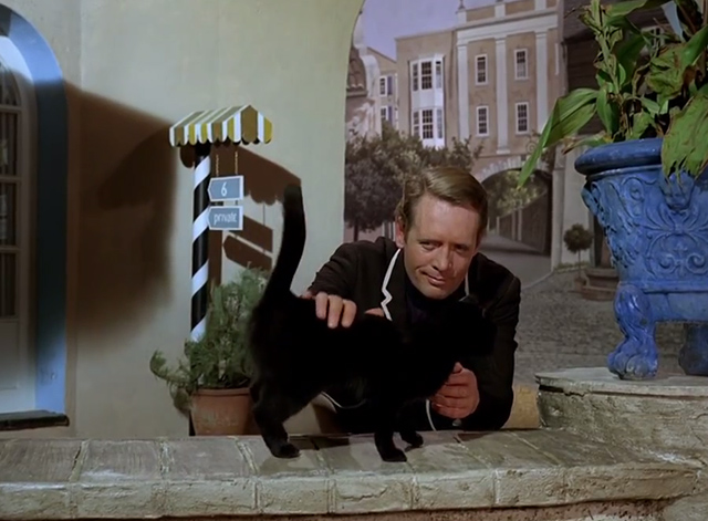 The Prisoner - Dance of the Dead black cat petted by Number 6 Patrick McGoohan