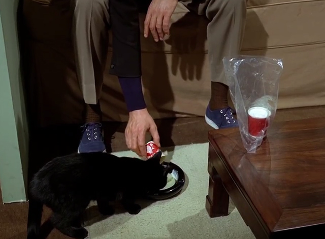 The Prisoner - Dance of the Dead black cat given milk in bowl on floor