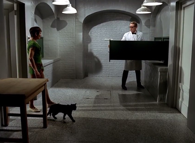 The Prisoner - Dance of the Dead black cat enters room with Number 2 Mary Morris to find Number 6 Patrick McGoohan