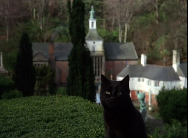 The Prisoner - Many Happy Returns black cat in Village