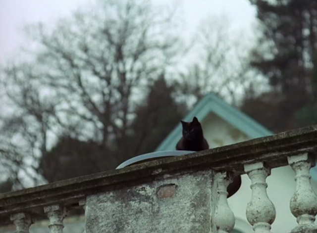 The Prisoner - Many Happy Returns black cat on table behind high wall