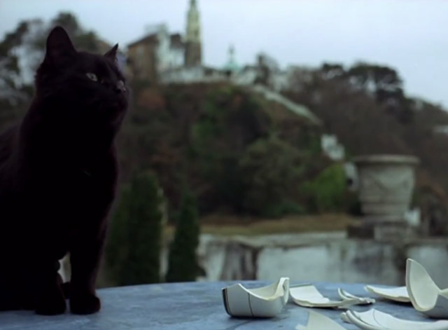 The Prisoner - Many Happy Returns black cat on table with broken teacup
