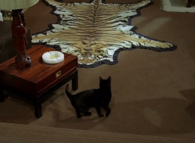 The Prisoner - Many Happy Returns black cat inside Number 6 home