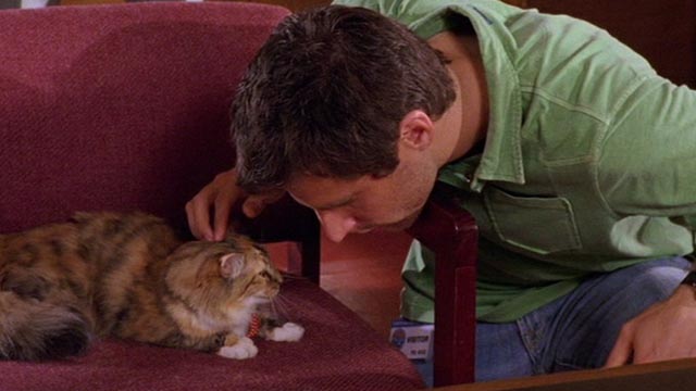 Psych - 9 Lives - calico cat Little Boy Cat being petted by Shawn James Roday