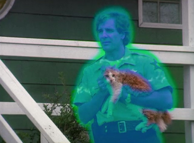 Quantum Leap - Hurricane Sam leaps into man holding cat