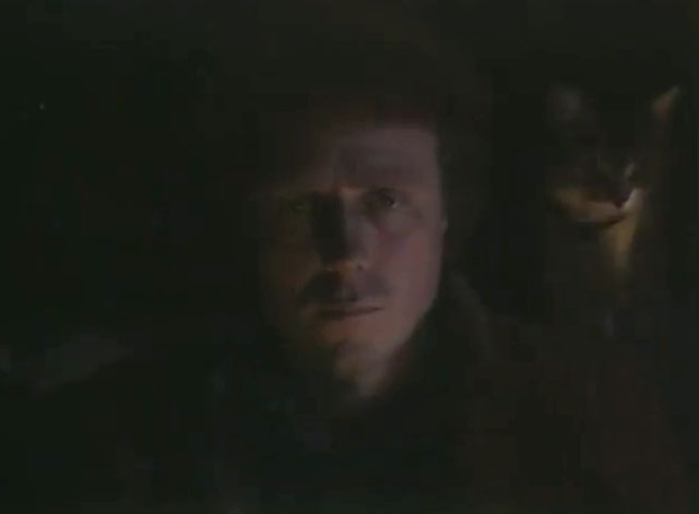 Rafferty's Rules - Unaired Pilot - Rafferty Chris Haywood in van at night with calico tabby cat