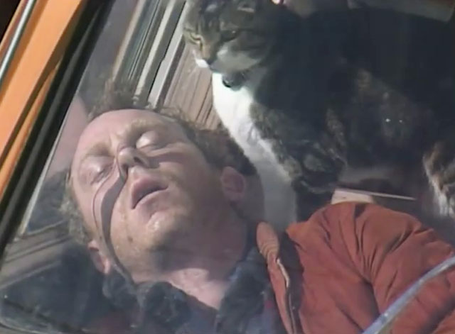 Rafferty's Rules - Unaired Pilot - Rafferty Chris Haywood sleeping in van with calico tabby cat