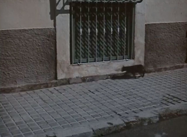 The Rat Patrol - The Last Harbor Raid Part One - black cat running along sidewalk