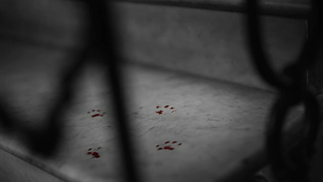 Ripley - Season One - bloody paw prints on stairs