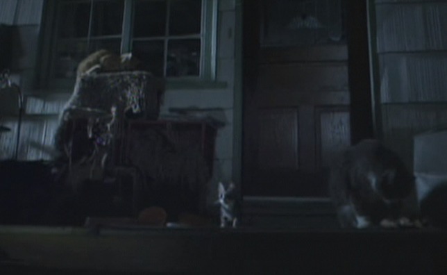 R.L. Stine's The Haunting Hour - The Cast cats on porch