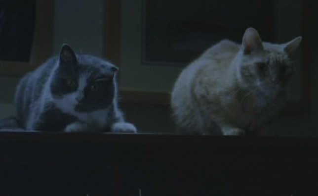 R.L. Stine's The Haunting Hour - The Cast cats on bureau
