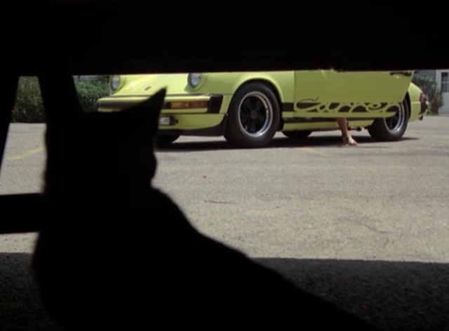 The Rockford Files - Beamer's Last Case - Valentino cat under mobile home