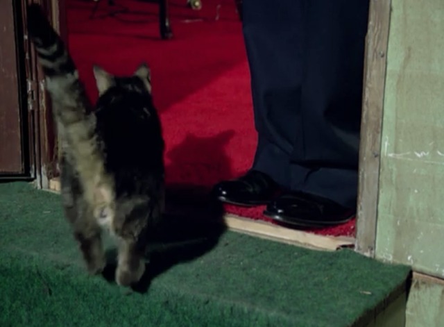 The Rockford Files - Beamer's Last Case - Valentino cat runs inside mobile home