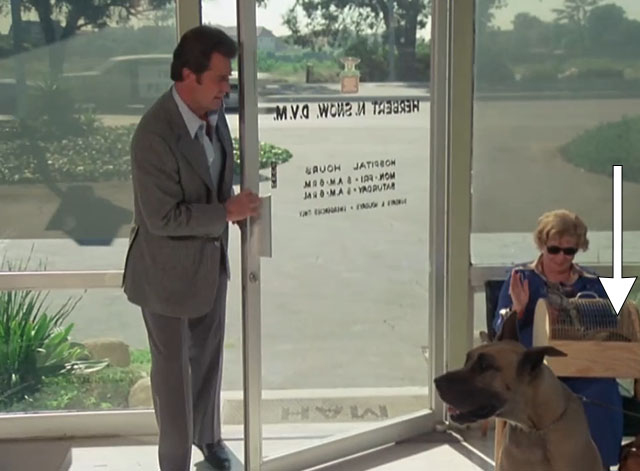 The Rockford Files - Sticks and Stones May Break Your Bones, But Waterbury Will Bury You - James Garner entering vet near woman with cat in carrier