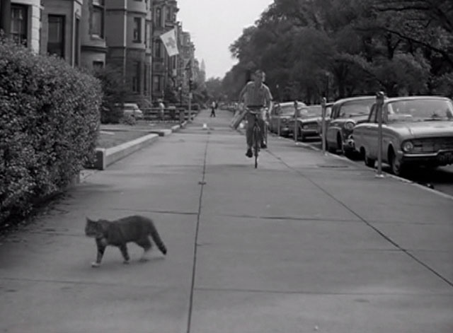 Route 66 - Birdcage on My Foot - tabby cat moves off sidewalk