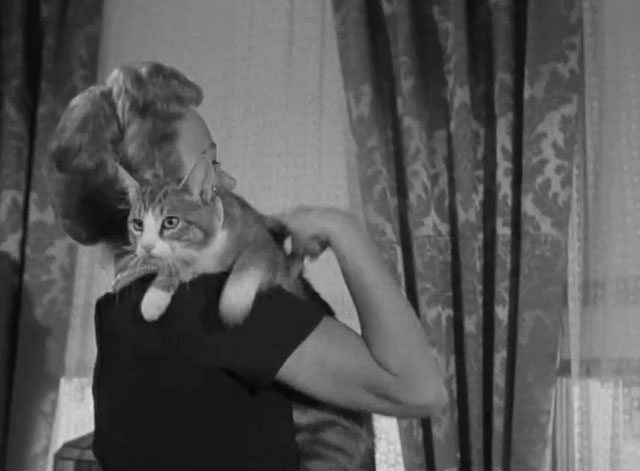 One Step Beyond - Route 66 - Build Your Houses with Their Backs to the Sea - tabby and white cat being picked up by Abigail Audra Lindley