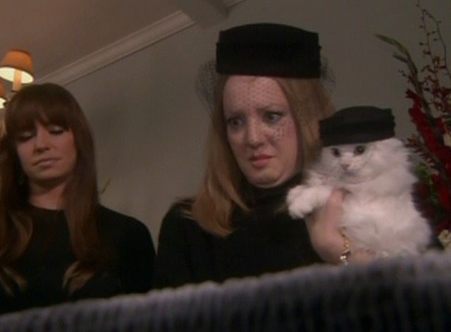 Rules of Engagement - Cats & Dogs Liz and cat at funeral