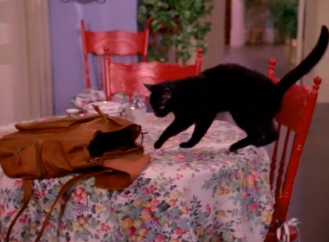 Sabrina the Teenage Witch - A Girl and Her Cat - black cat Salem getting into Sabrina's bag