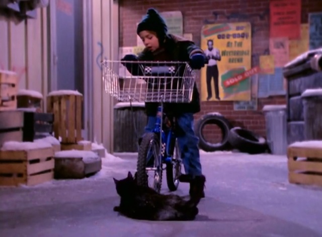 Sabrina the Teenage Witch - A Girl and Her Cat - black cat Salem hit by bike ridden by Rex Seth Adkins