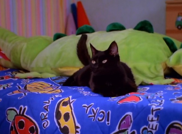 Sabrina the Teenage Witch - A Girl and Her Cat - black cat Salem sitting on bed