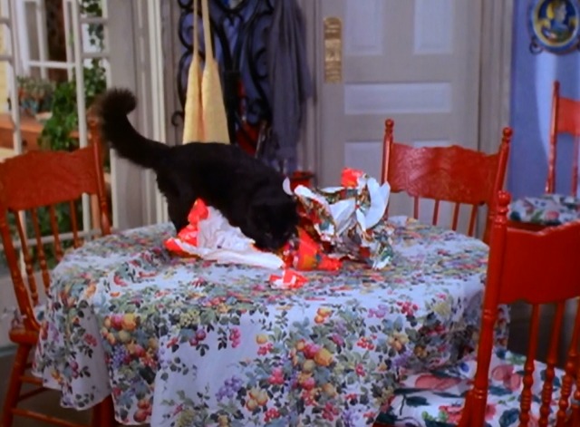Sabrina the Teenage Witch - A Girl and Her Cat - black cat Salem in used wrapping paper