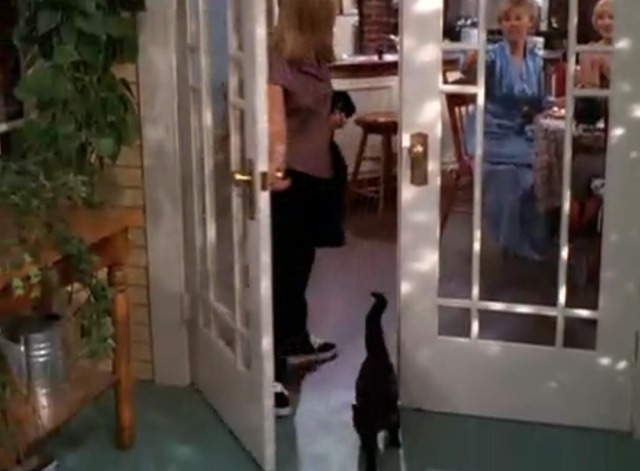 Sabrina the Teenage Witch - Pilot - black cat Salem walks outside ahead of Sabrina