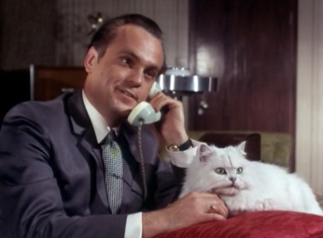 The Saint - The Counterfeit Contessa - Alzon Philip Madoc on phone with white Persian cat Chou-Chou