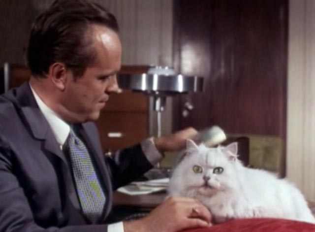 The Saint - The Counterfeit Contessa - Alzon Philip Madoc hanging up phone with white Persian cat Chou-Chou