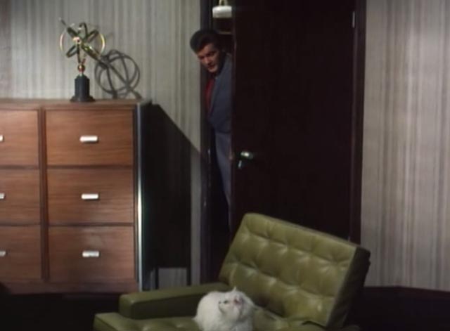The Saint - The Counterfeit Contessa - Simon Roger Moore entering office with white Persian cat Chou-Chou in chair