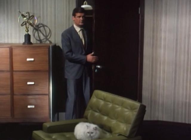 The Saint - The Counterfeit Contessa - Simon Roger Moore entering office with white Persian cat Chou-Chou in chair