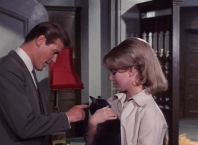 The Saint - The House on Dragon's Rock - Simon Templar Roger Moore boops gray cat's nose held by Carmen Annette Andre