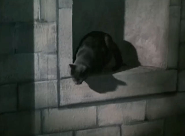 The Saint - Vendetta for the Saint, Part Two - gray cat in crypt enclave