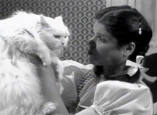 Saturday Night Live - The Incredible Man - Jennifer Gilda Radner singing to white Persian cat Tinky