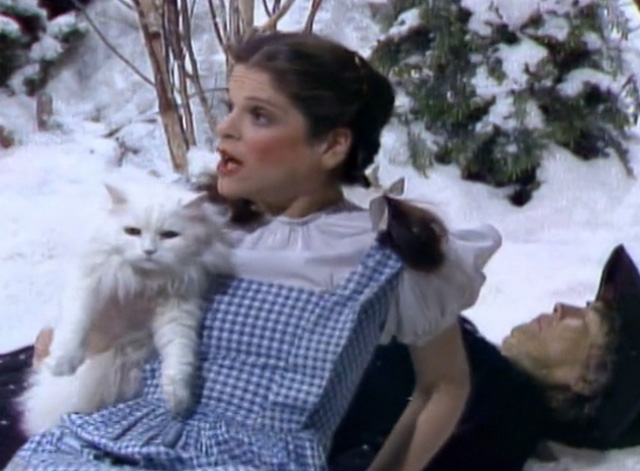 Saturday Night Live - The Incredible Man - Jennifer Gilda Radner wakes up with white Persian cat Tinky