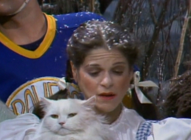 Saturday Night Live - The Incredible Man - Jennifer Gilda Radner looking sad with white Persian cat Tinky