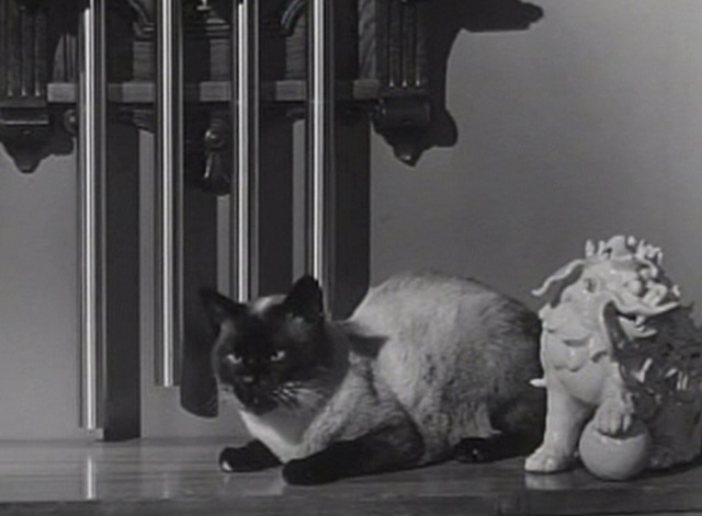 Screen Directors Playhouse - Claire - close up of Siamese cat Claire beneath clock chimes