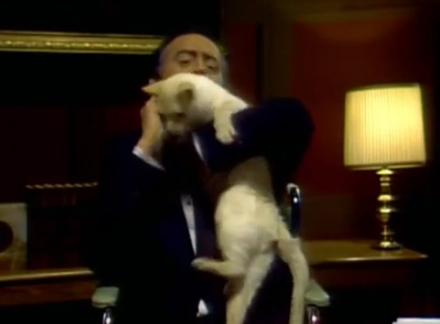 SCTV - The Godfather - Guy Caballero Joe Flaherty struggling with white cat in arms