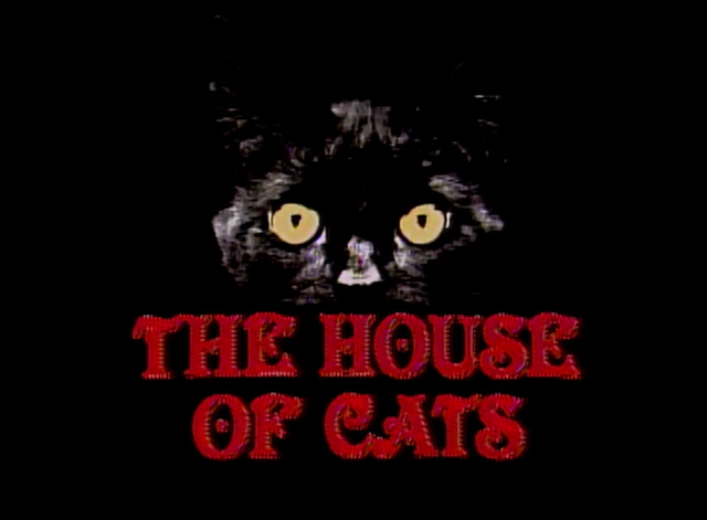 SCTV Dr. Tongue's 3D House of Cats title card