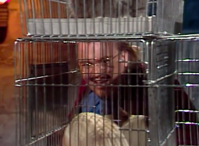 SCTV House of Cats - Dr. Tongue John Candy looking at cats in cages