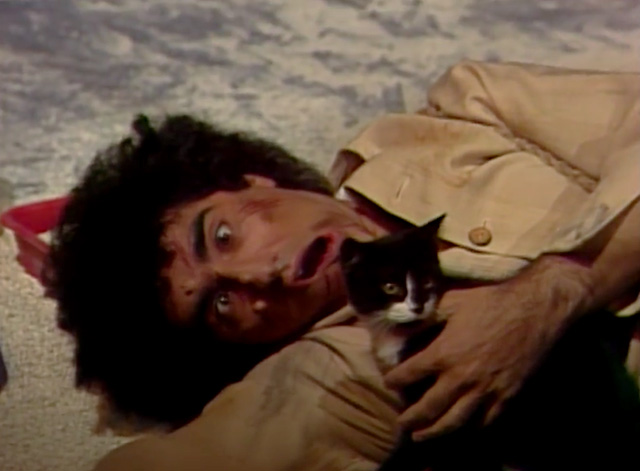 SCTV House of Cats - Bruno Eugene Levy killed by tuxedo cat Dinky