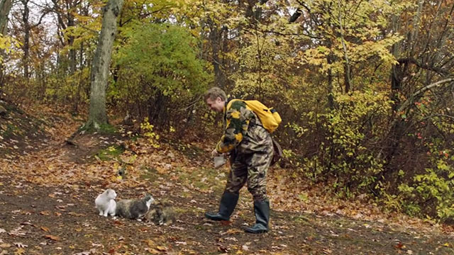 Search Party - Irrefutable Evidence - Elliott John Early approaching three cats tortoiseshell, gray and white and cream and white tabby in woods