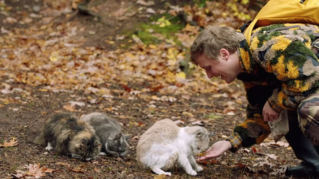 Search Party - Irrefutable Evidence - Elliott John Early feeding three cats tortoiseshell, gray and white and cream and white tabby in woods