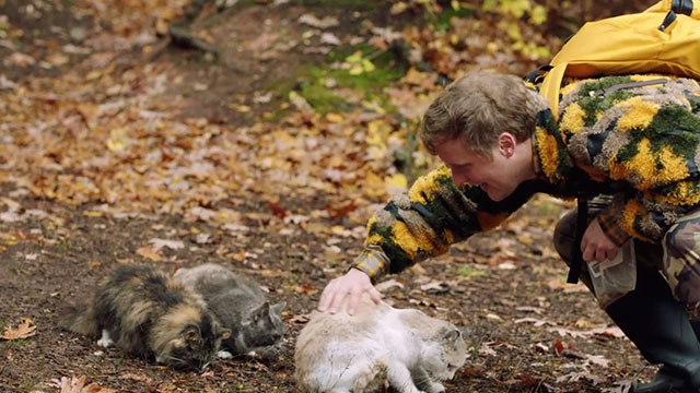 Search Party - Irrefutable Evidence - Elliott John Early petting three cats tortoiseshell, gray and white and cream and white tabby in woods