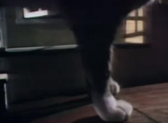Sesame Street - Doll House - tabby cat paws