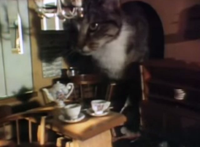 Sesame Street - Doll House - tabby cat coming into doll house room