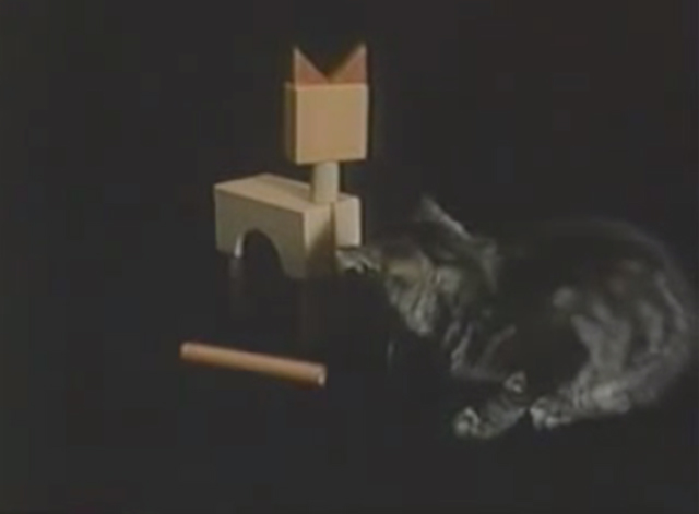 Sesame Street - Kitty Blocks - tabby kitten looking at building blocks shaped like cat